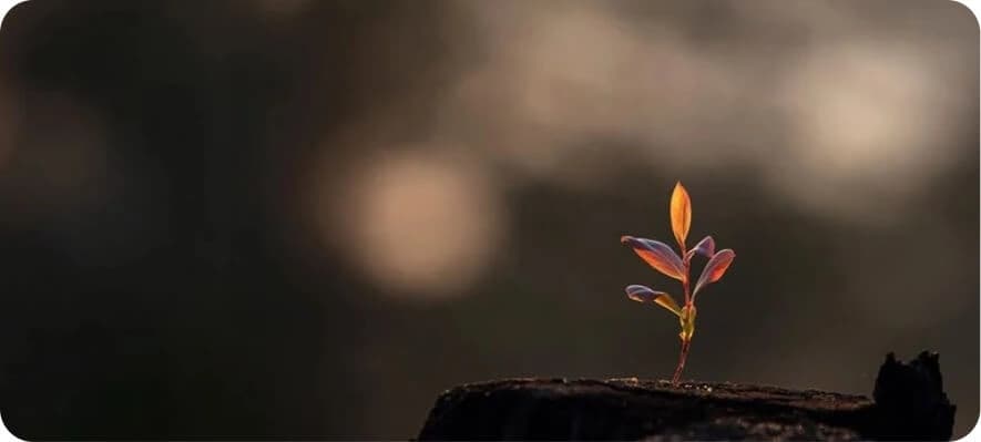 20+ Onboarding Tasks That Help New Hires Feel Welcome [Free Onboarding Checklist]